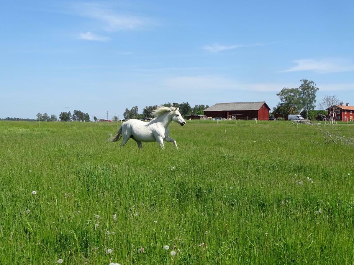 Broby Bed & Breakfast Nyköping Buitenkant foto